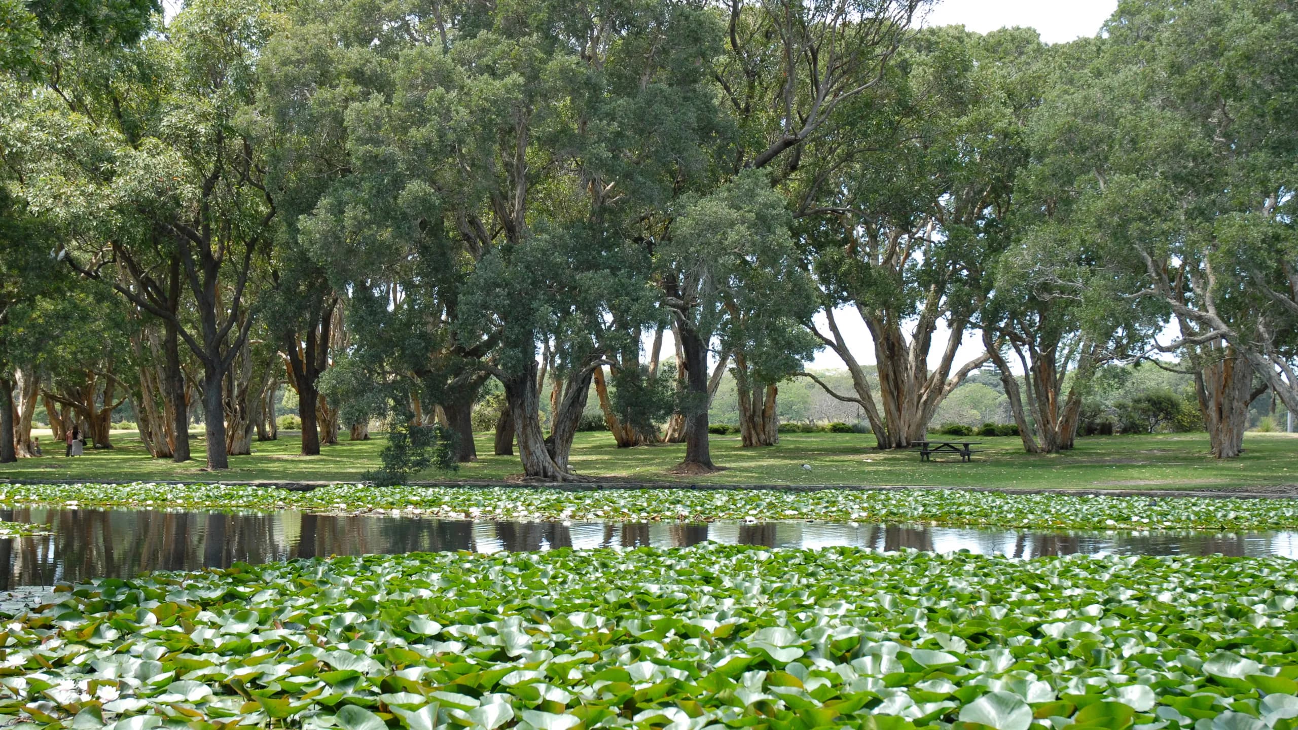 Centennial Park